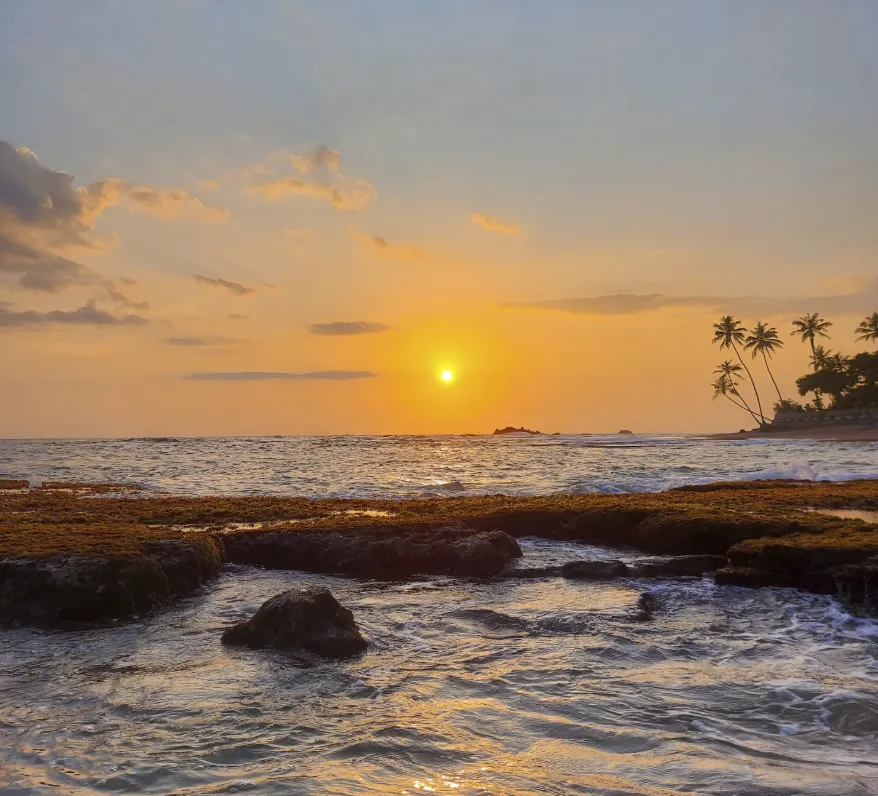 Mahamodara_Seashore Trail